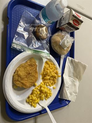 MechCon Highlight - Chicken Patie Dinner (Old Vendor)
